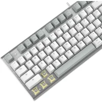 Клавиатура A4Tech Fstyler FS100 Neon (серебристый/серый) фото 17